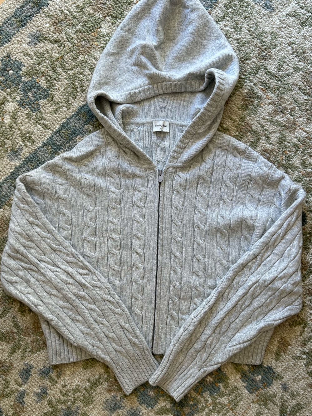 aritzia sunday best hooded sweater